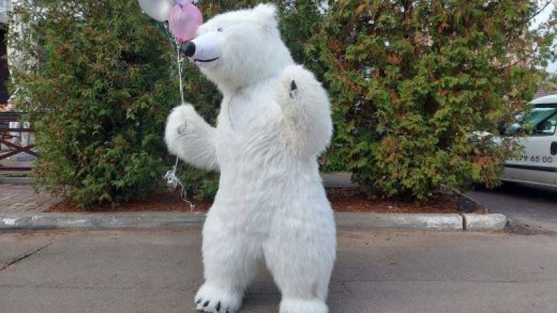 Вітання білого ведмедика в українському шоу-бізнесі