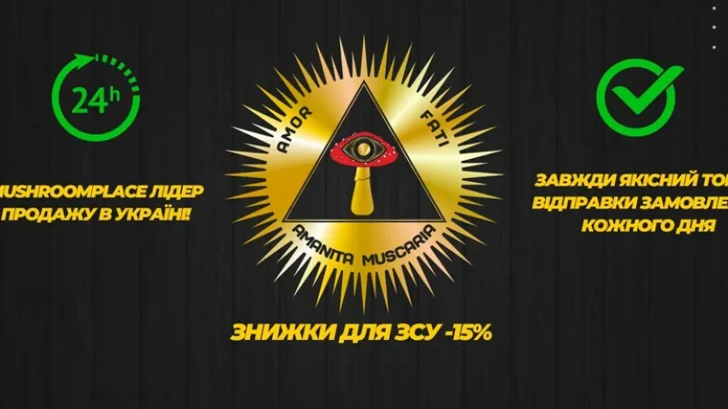 Цілющі гриби, як мікродозинг покращує когнітивні функції, креативність та концентрацію?