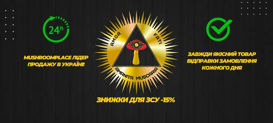 Цілющі гриби, як мікродозинг покращує когнітивні функції, креативність та концентрацію?