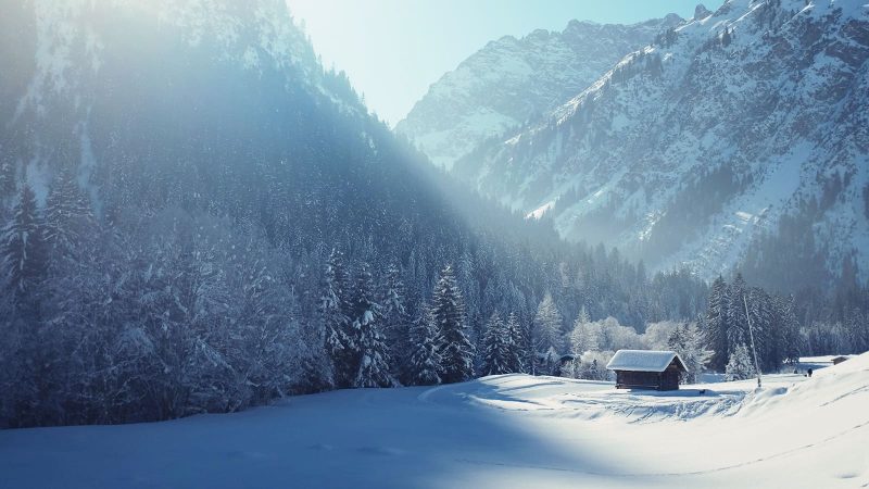 Кого можуть зацікавити тури в Буковель з Луцька